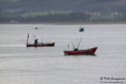 santona_feria_anchoa_2015_paseo_001
