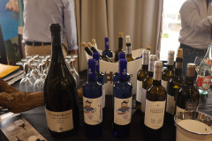 2023_05_cantabria_vinos_021