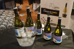 2023_05_cantabria_vinos_063