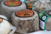 2012_pesquera_quesoosco_005