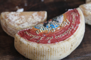 08_2015_pesquera_2015_025