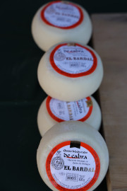 2019_08_ferisa_queso_pesquera_004_mulecarajonero