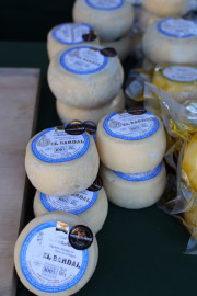 2019_08_ferisa_queso_pesquera_005_mulecarajonero