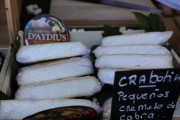 2019_08_ferisa_queso_pesquera_008_mulecarajonero