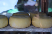 2019_08_ferisa_queso_pesquera_029_mulecarajonero