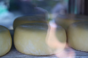 2019_08_ferisa_queso_pesquera_030_mulecarajonero