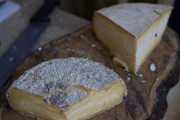 2019_08_ferisa_queso_pesquera_039_mulecarajonero