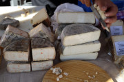 2019_08_ferisa_queso_pesquera_097_mulecarajonero