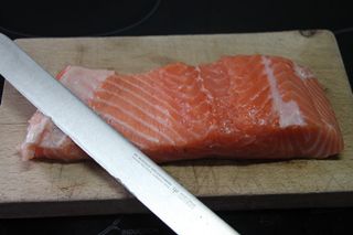 2013 11 02 salmon 001