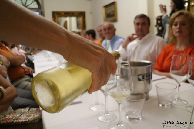 Finca Allende Bodega cata de vinos