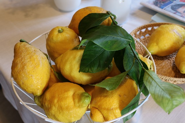 Restaurante El Remedio Ruiloba limones de Novales