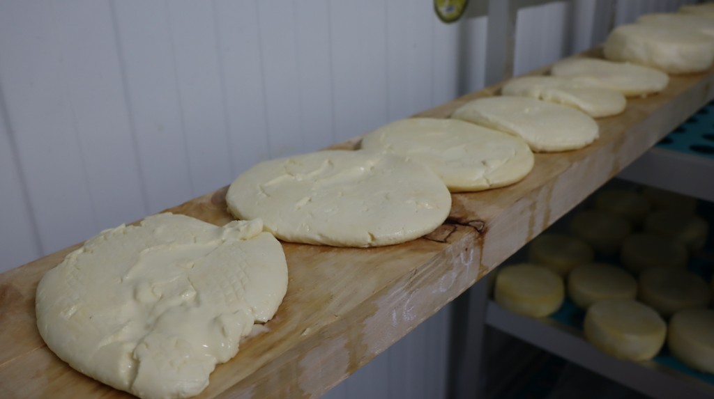 Queso Tierno Granja La Sierra