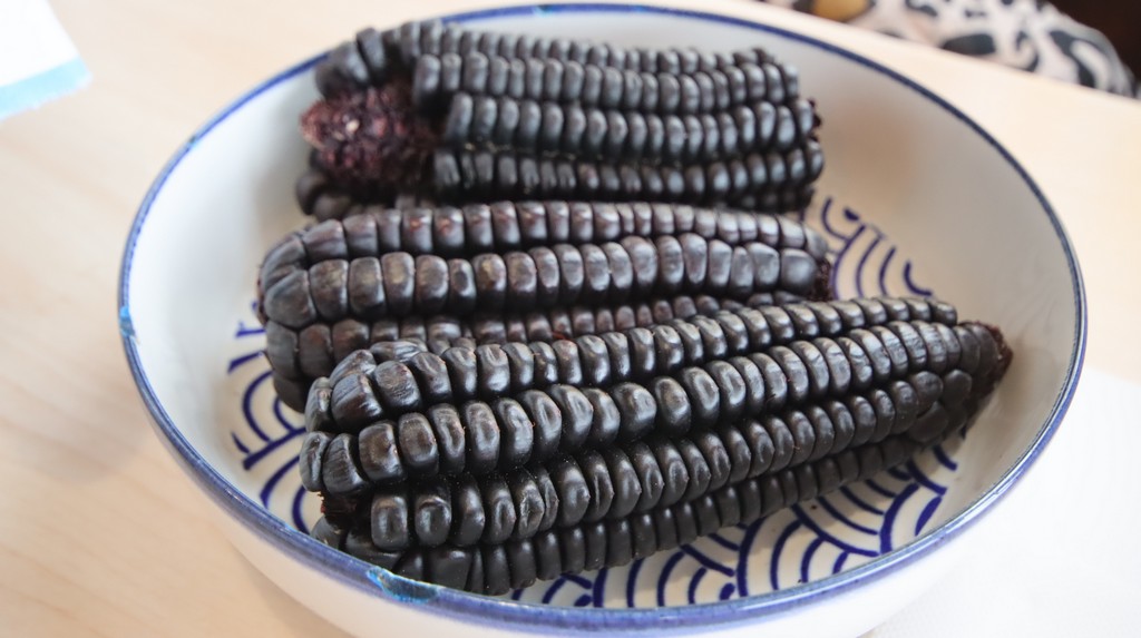 Maiz Morado