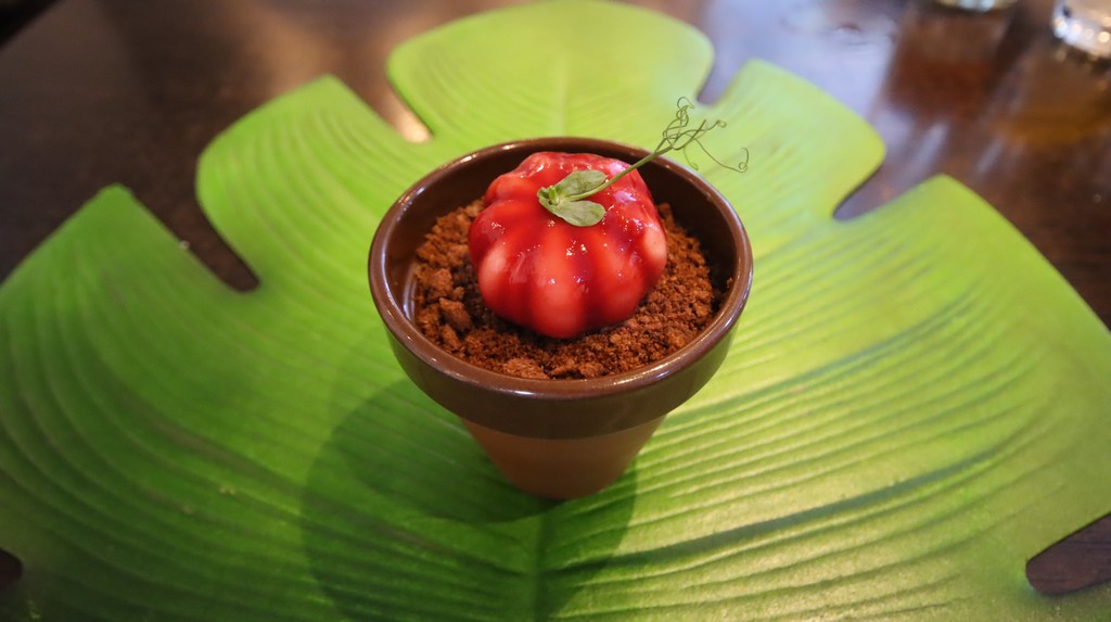mousse de fruta de la pasión con frambuesa