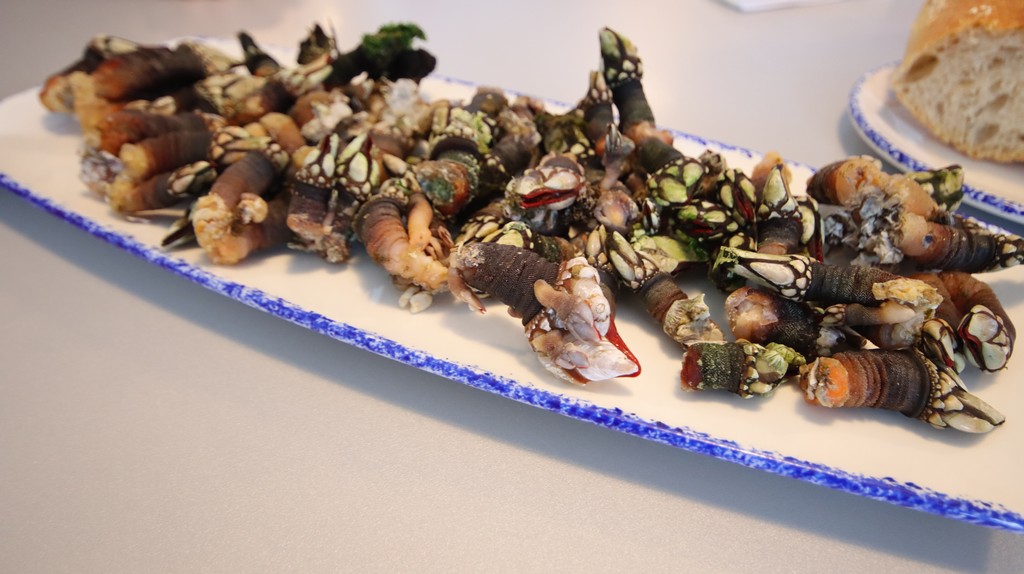 Percebes El Tronky