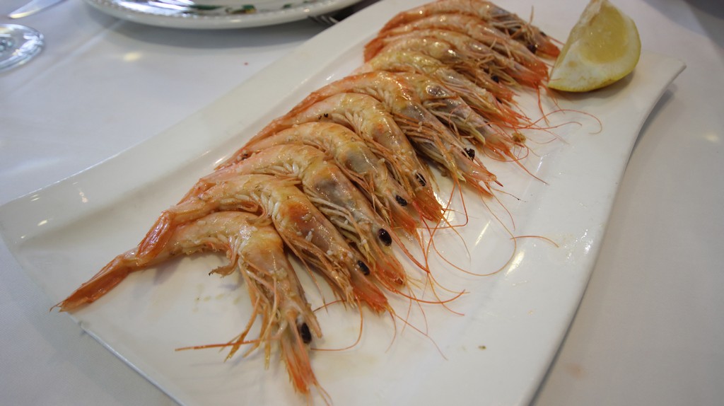 Gamba Blanca