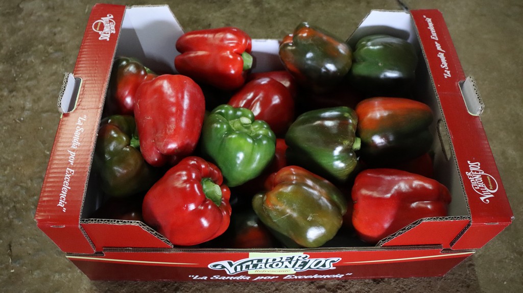 Pimientos de Isla Zubi