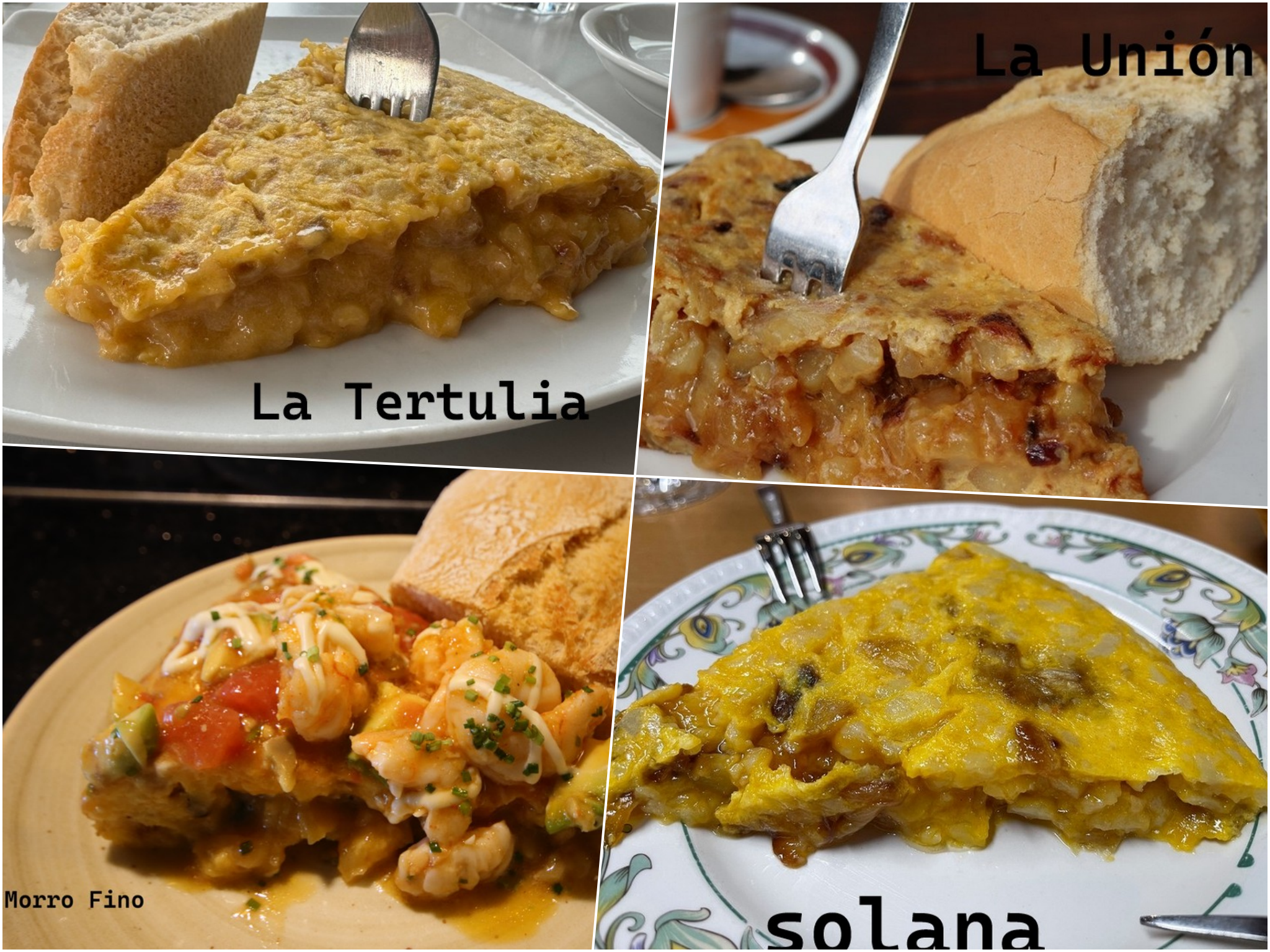 12 tortillas de Cantabria